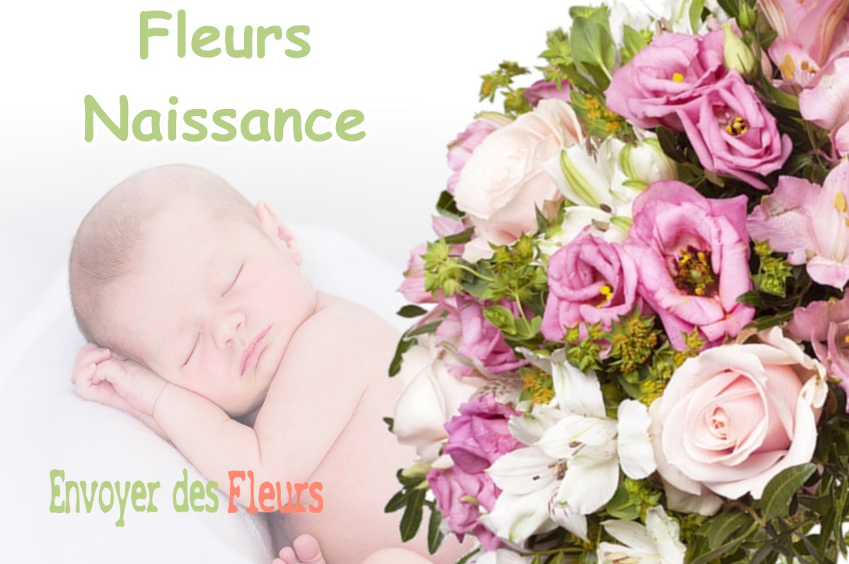 lIVRAISON FLEURS NAISSANCE à PONT-DE-POITTE